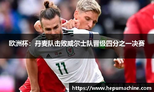 欧洲杯：丹麦队击败威尔士队晋级四分之一决赛